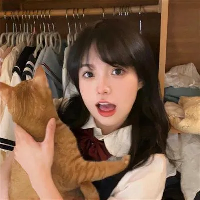 成全视频免费观看在线看动漫